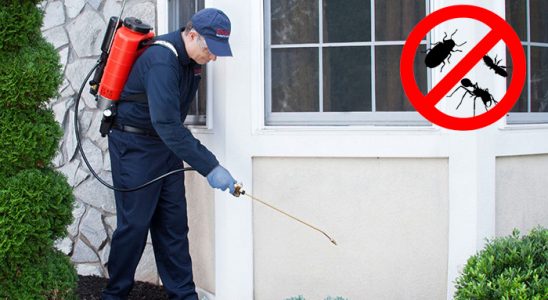 Arnavutköy Böcek İlaçlama böcek ilaçlama ve haşere kontrolü — ilaclama-tr.com